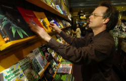 Marc Emery works in his Vancouver store in January 2008. Emery is to surrender himself in B.C. Supreme Court on Sept. 28, 2009. (Photo by Ward Perrin)
